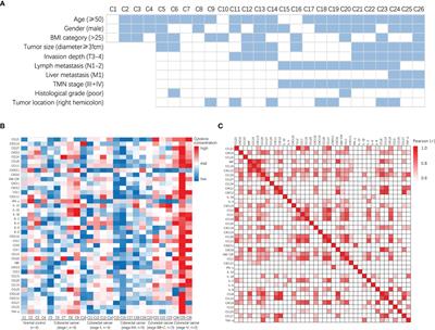 Cytokine concentration in peripheral blood of patients with colorectal cancer
